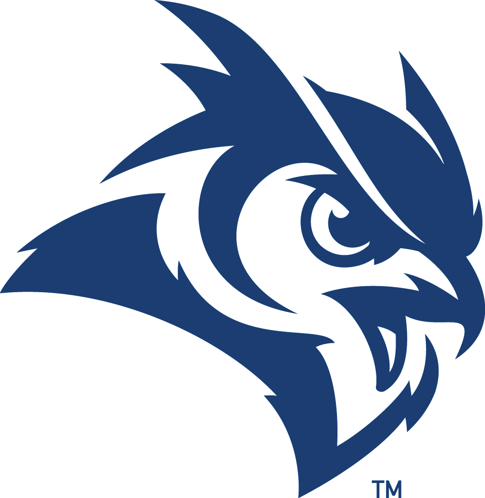 Rice Owls 2017-Pres Secondary Logo diy iron on heat transfer